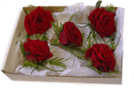 wedding party buttonholes